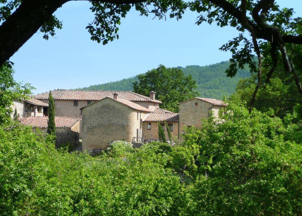 Agriturismo Colli Di Travale Montieri Quarto foto